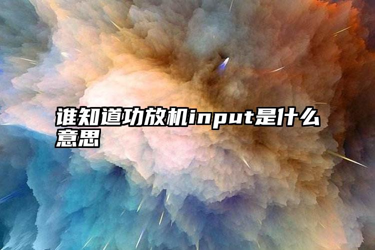 谁知道功放机input是什么意思